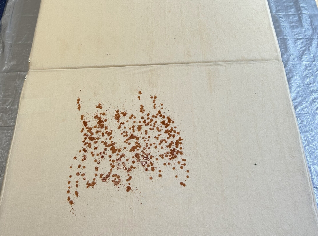 クリーニング前の写真