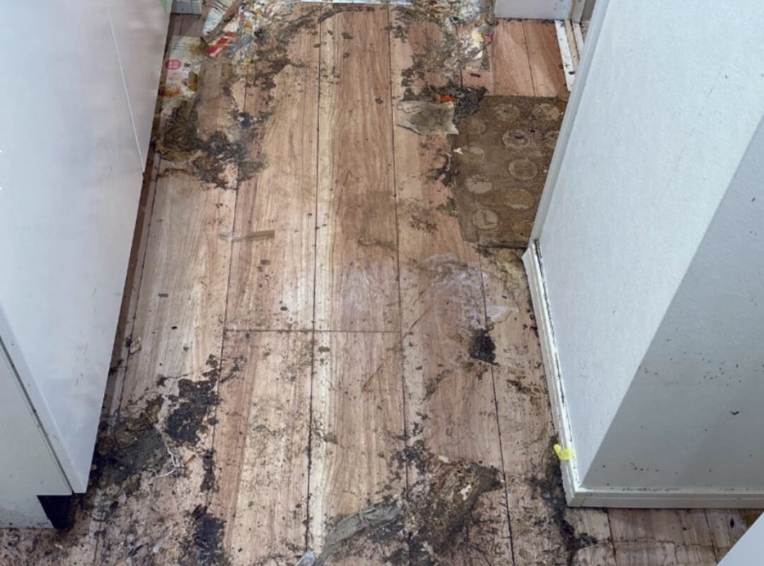 クリーニング前の写真